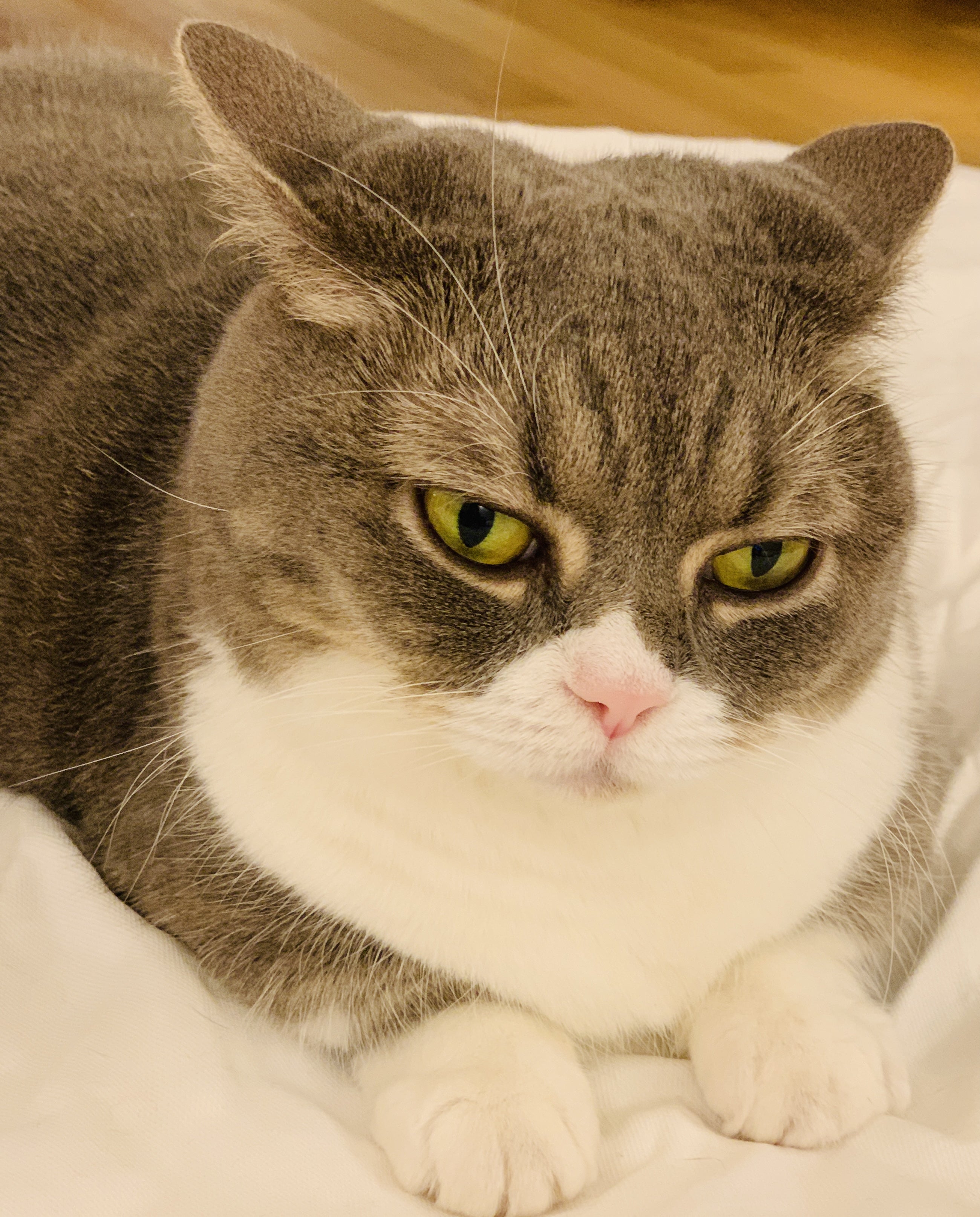 2022年9月1日(木)September | 谷村有美オフィシャルブログ「digi-yumi