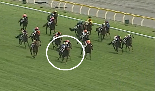 アグネスフライト逝去 2000年日本ダービー馬 | 毎日が一口馬主！