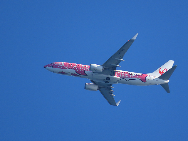 飛行機 JTA ジンベエジェット(さくらジンベエ) | みえたもの
