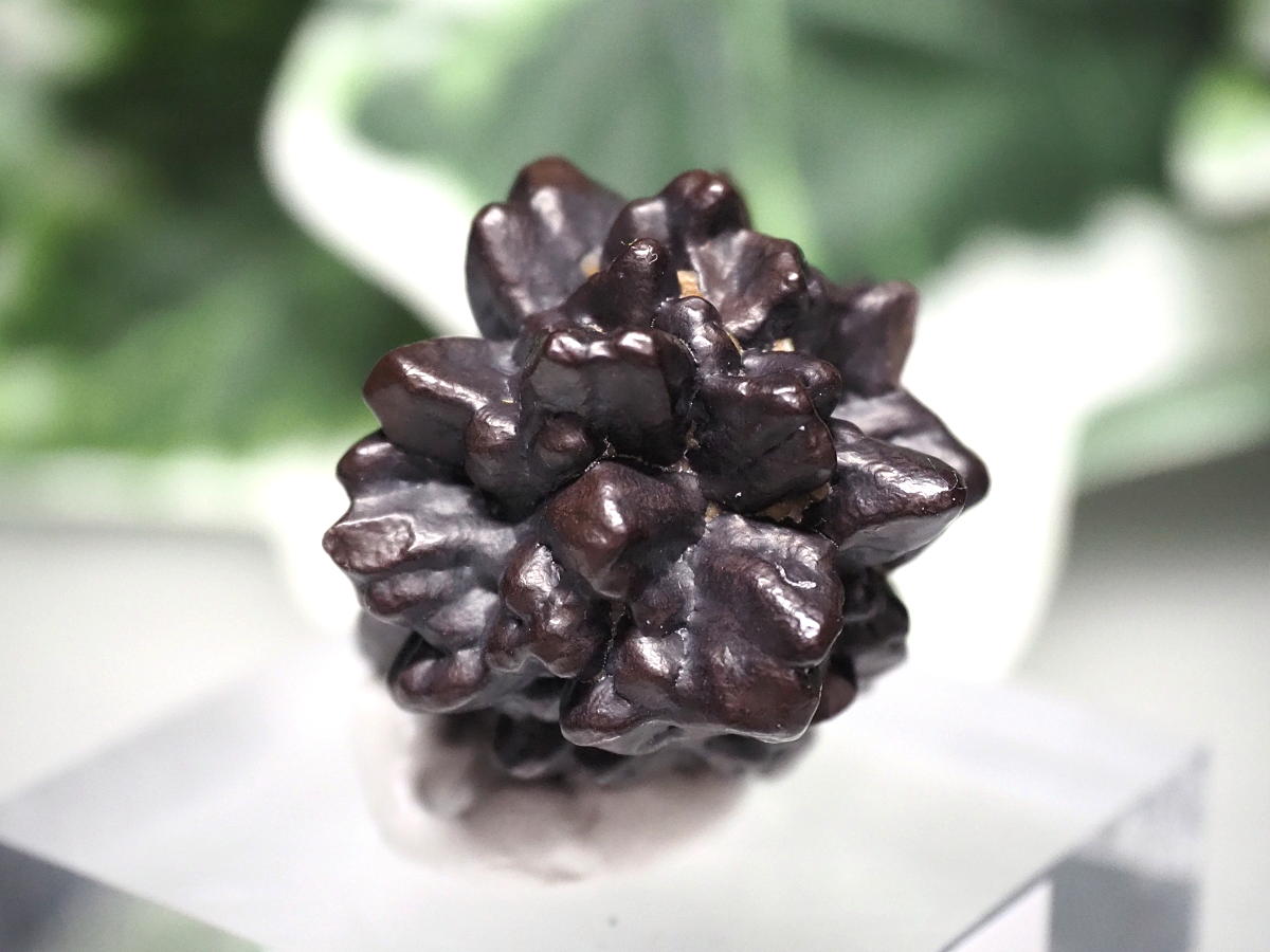 ゼットストーン【プロフェシーストーン】☆エジプトの星の予言石