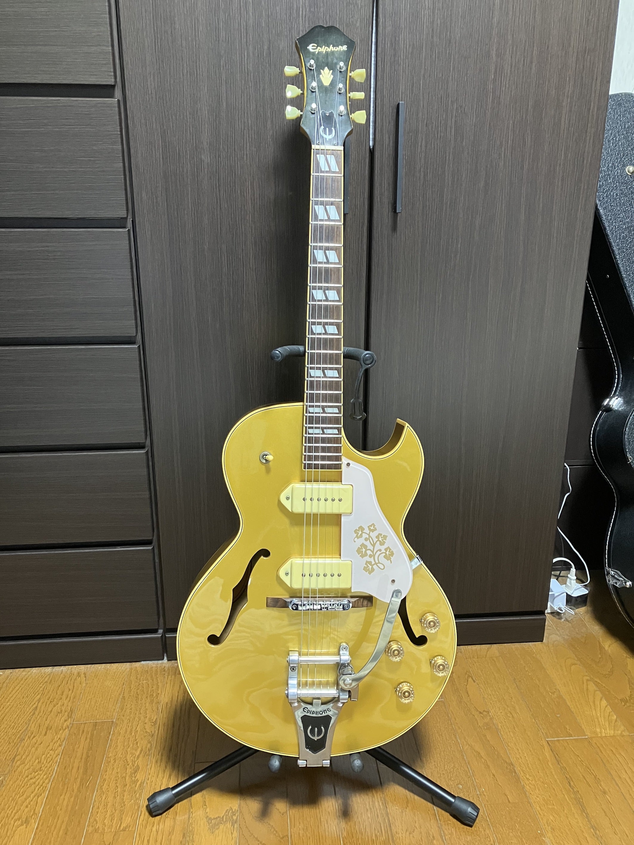 Epiphone ES-295 登場！Gibsonじゃないけどね〜 | まっくのぱぱの部屋R