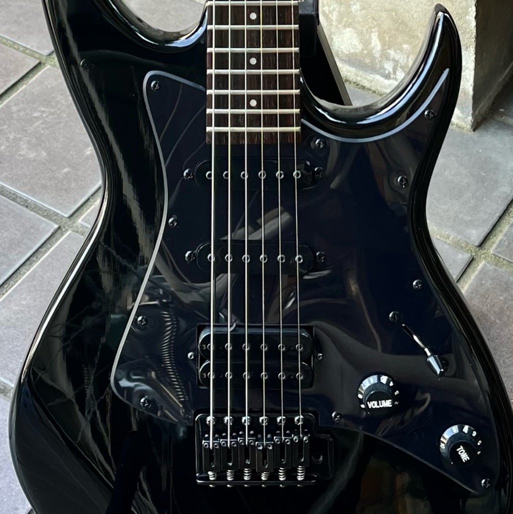 Black Dog by Aria Pro II | ギターいじりは楽しい！