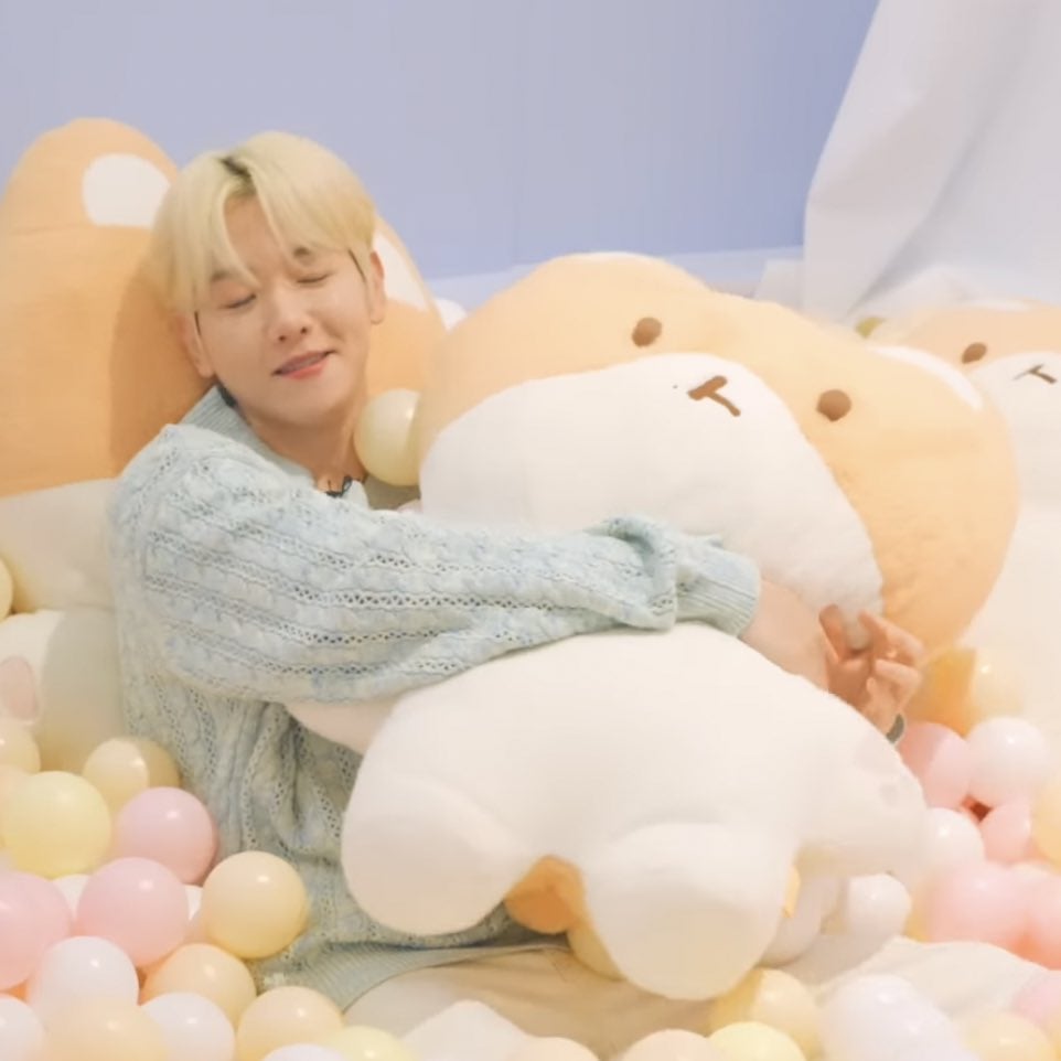 トレギのパパ ベッキョン♥️ | ALWAYS EXO LOVE♥️な ふ菓子のブログ