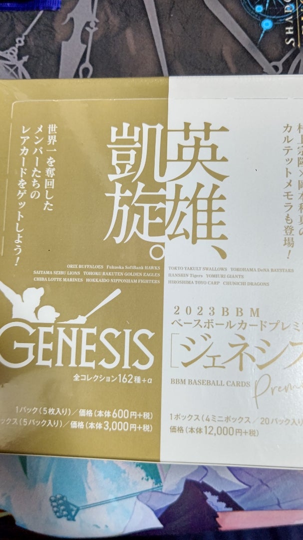 野球カード】BBM GENESIS 2023【開封】 | なんでもレビュー＆トレカ
