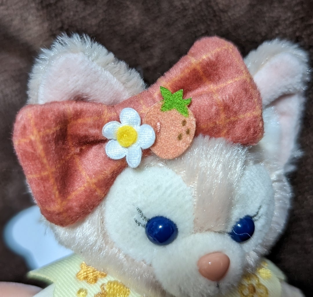 ☆ダッフィーハートフェルトストロベリーギフト×購入グッズ〜☆ | hiro