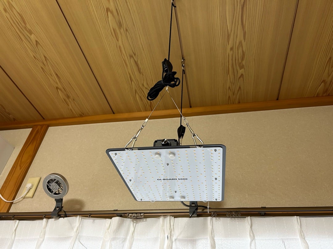 育成ライト GL-board 5000 購入 と夏野菜の種まき | 毎日盆栽