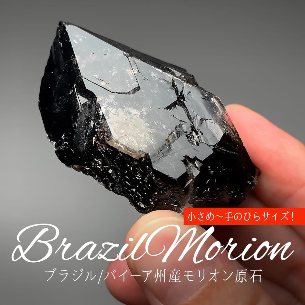 7/29新着情報☆第二夜は小さめ～手のひらサイズ！新たに見つかった