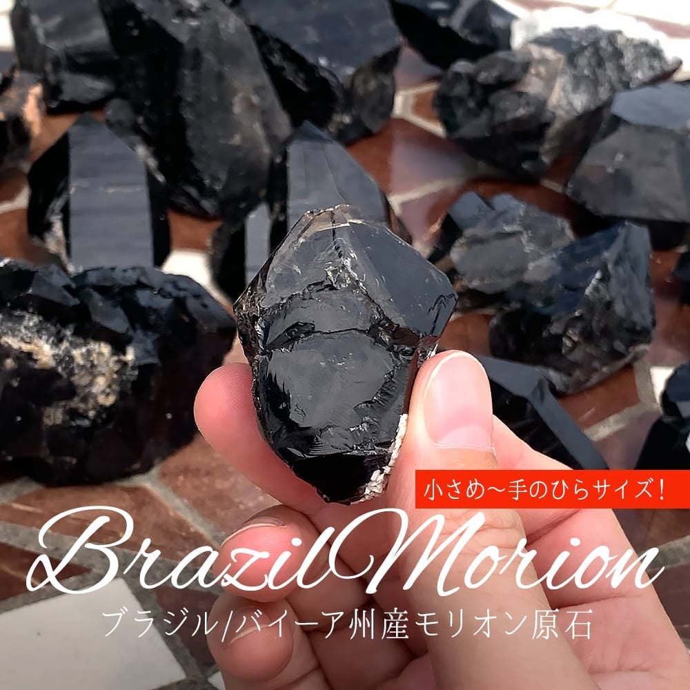 7/29新着情報☆第二夜は小さめ～手のひらサイズ！新たに見つかった