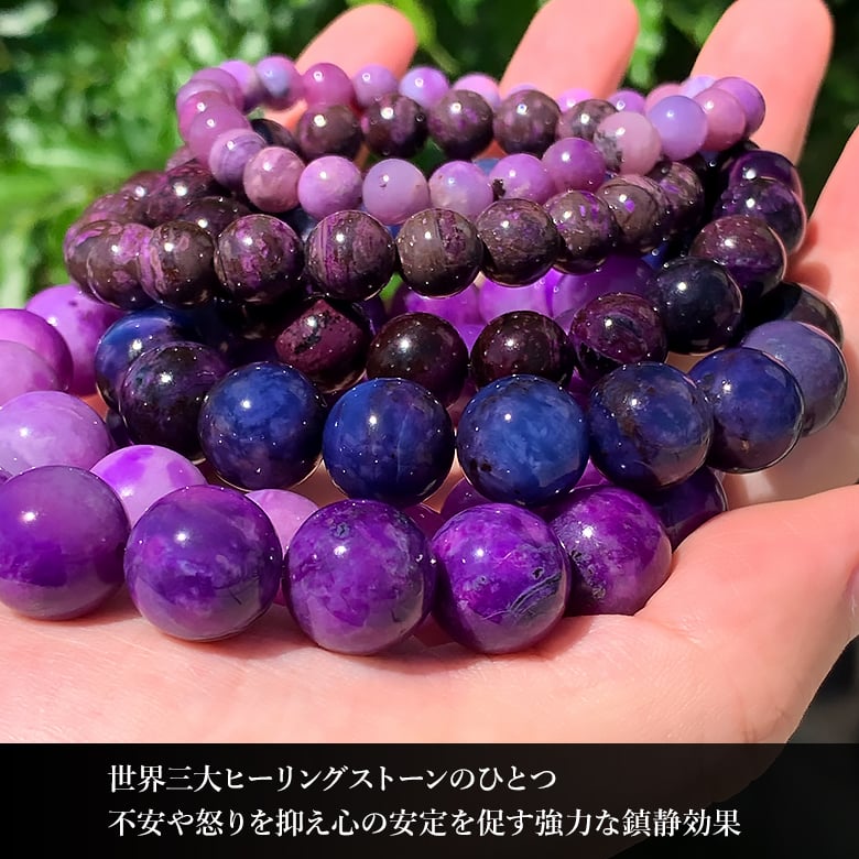 9/16新着情報☆希少カラー！約4年ぶりにパープルスギライト