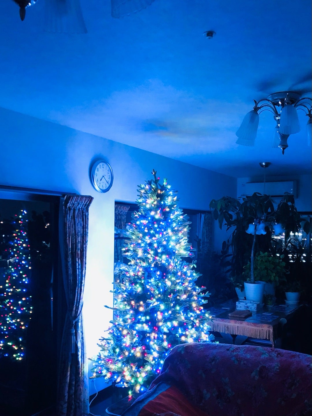 人生無駄な出来事は一切ないと教えてくれたコストコツリー | 満花今日