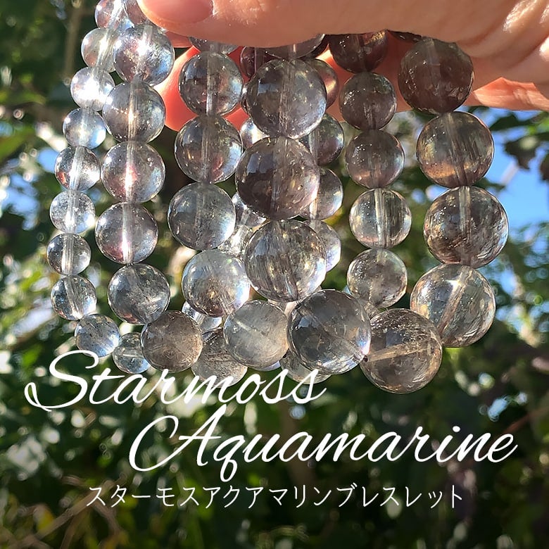 12/8新着情報☆通称、魔除けの御守ブラックレイン☆スターモスアクア