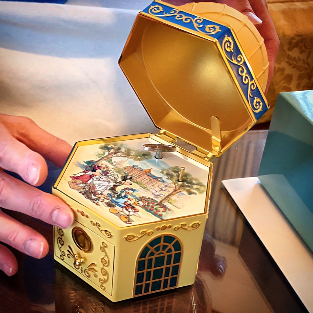 激レア品】ディズニーランドホテルの限定品&子供達へのプレゼント