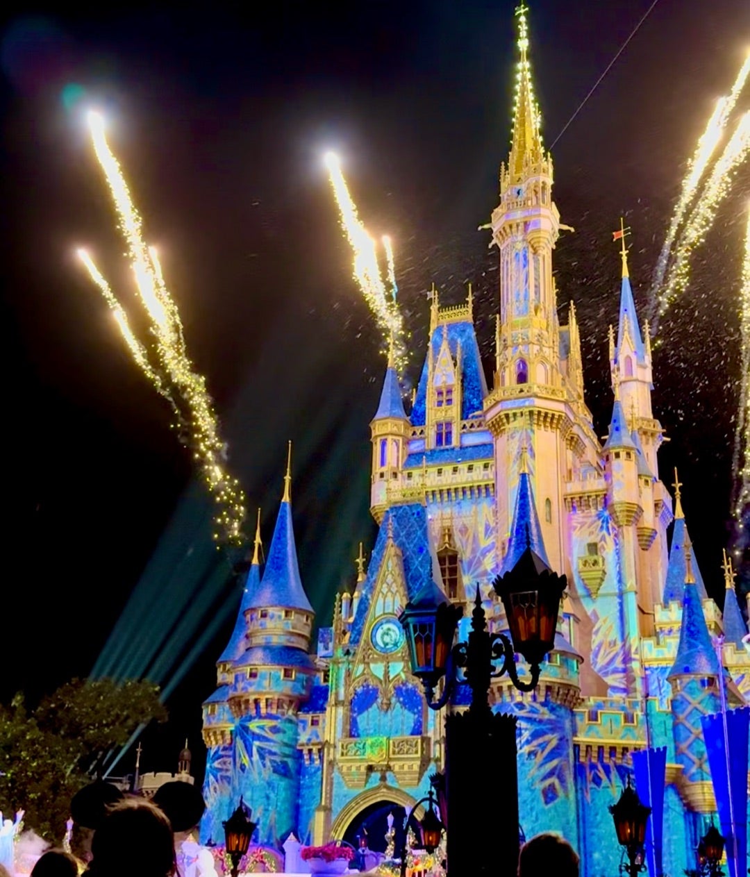 ディズニーワールドマジックキングダムwdwマジキンミッキーのベリー