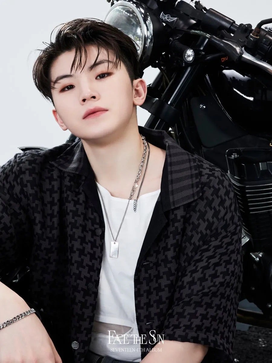 SEVENTEEN ウジ！！ | 。*..☆Happy Dream Sky☆..*。