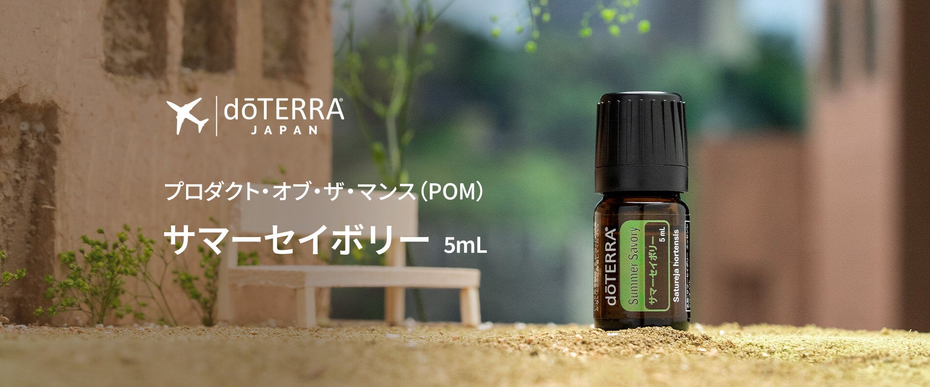 ドテラお得情報】2025年7月のキャンペーン情報＆プレゼントオイル