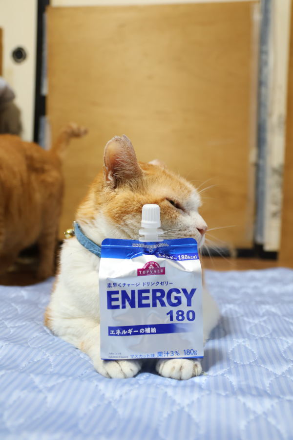 エナジー180 | のせ猫オフィシャルブログ Powered by Ameba