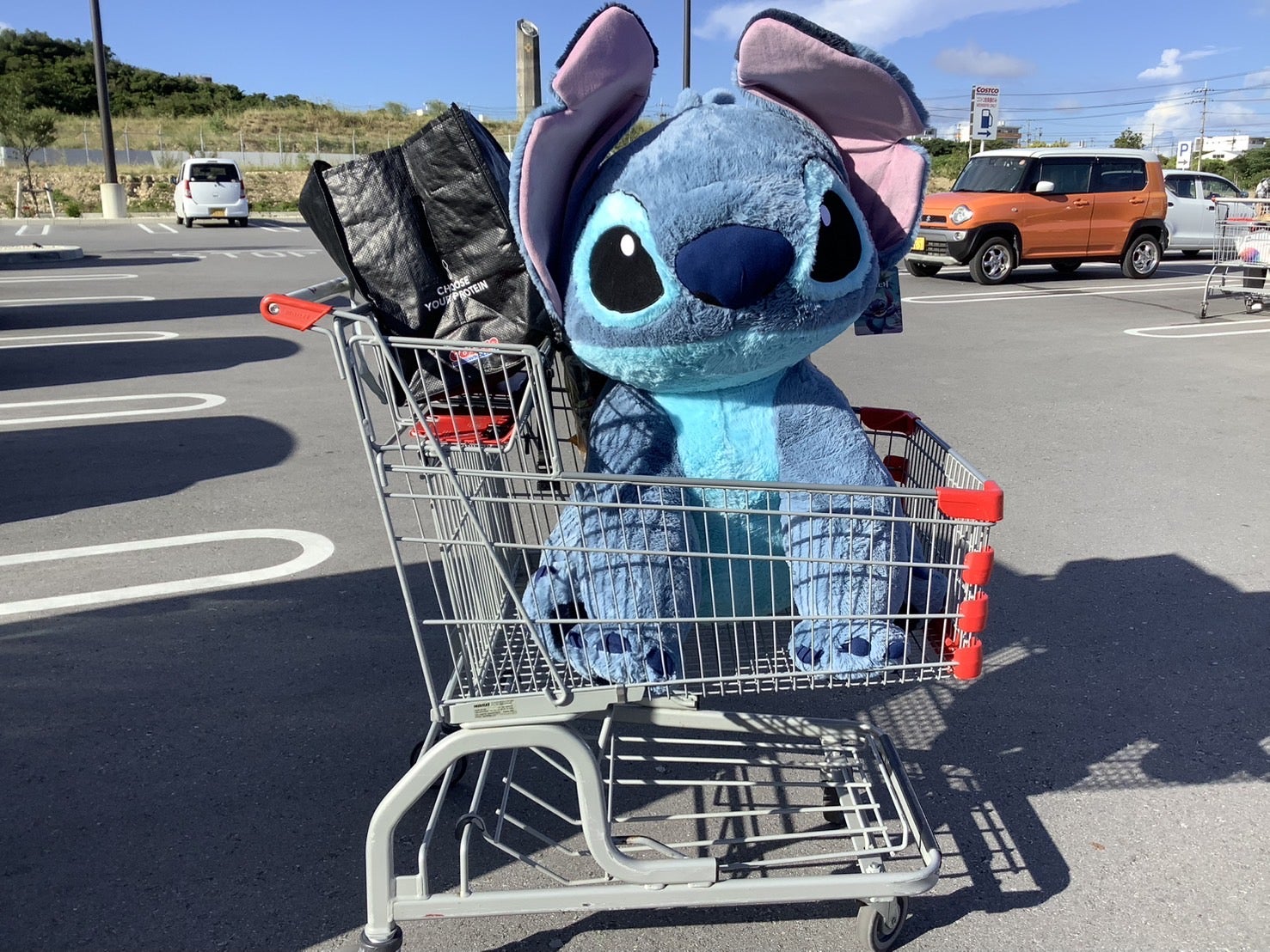 コストコスティッチ | 私、沖縄に住んでいます。