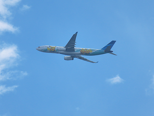 東京湾上空の飛行機 73 ガルーダ・インドネシア航空 (特別塗装機