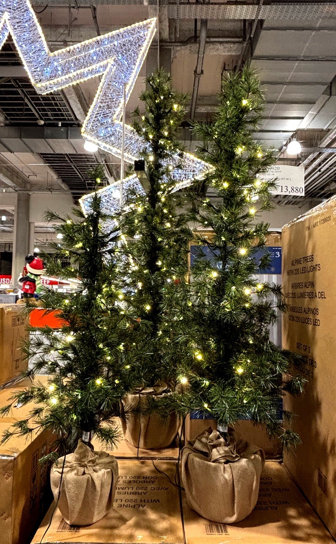 コストコ購入品（2025.10.2） | 60代主婦の気まぐれブログ