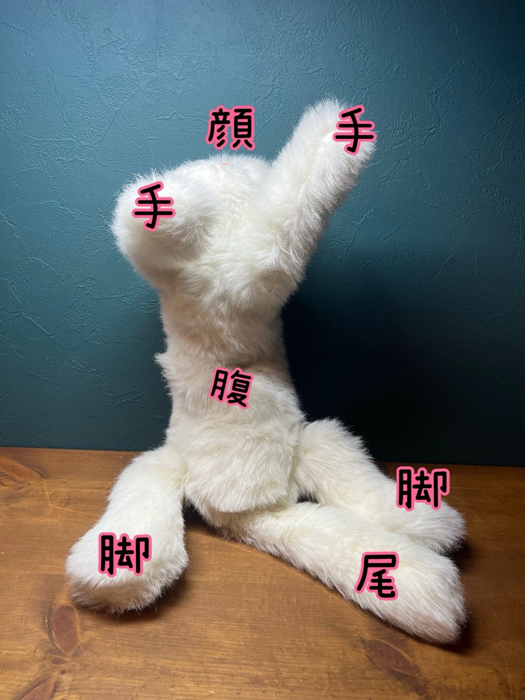 オオイケのペルシャ猫ボビー（前編） | ミニピン&イタグレのいる暮らし