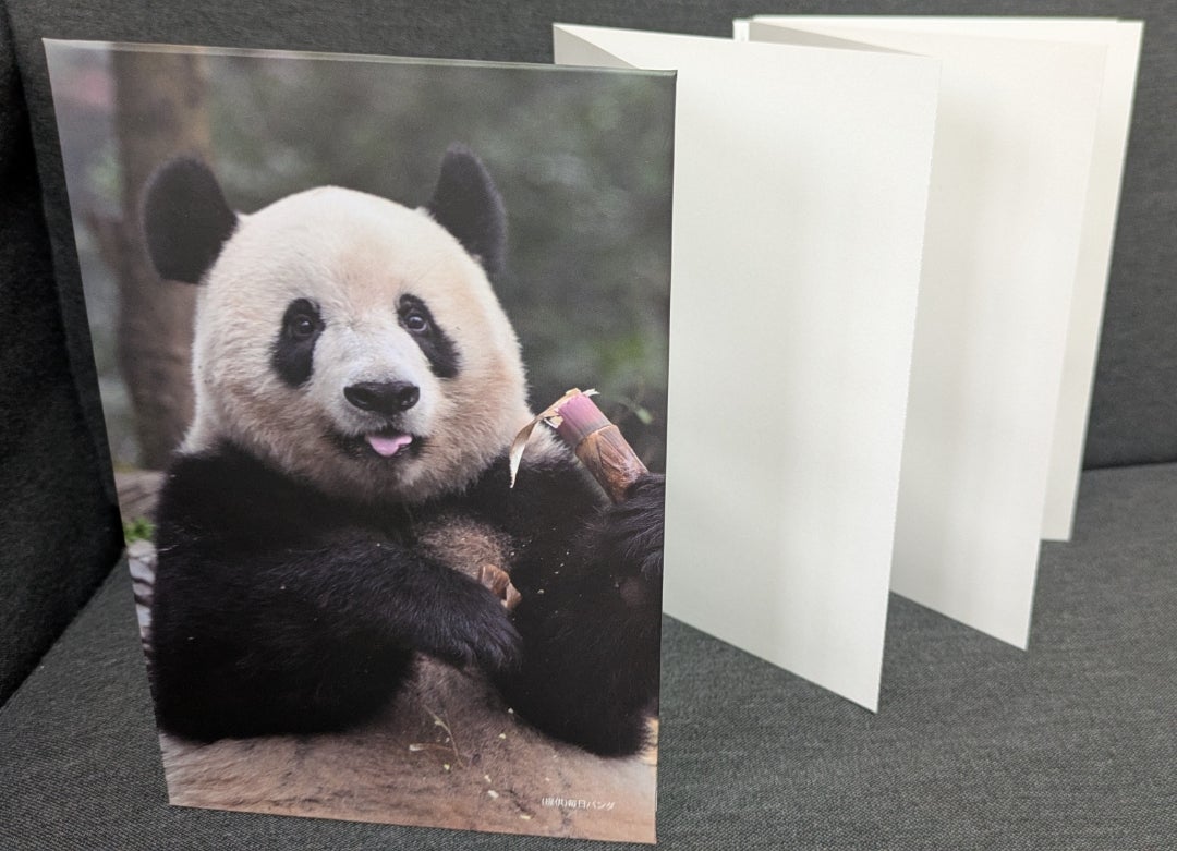 色々届いたシャンシャングッズ | いんちきサファイア