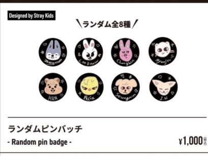 StrayKids スキズ ストレイキッズ バンチャン チャニ ピリちゃん