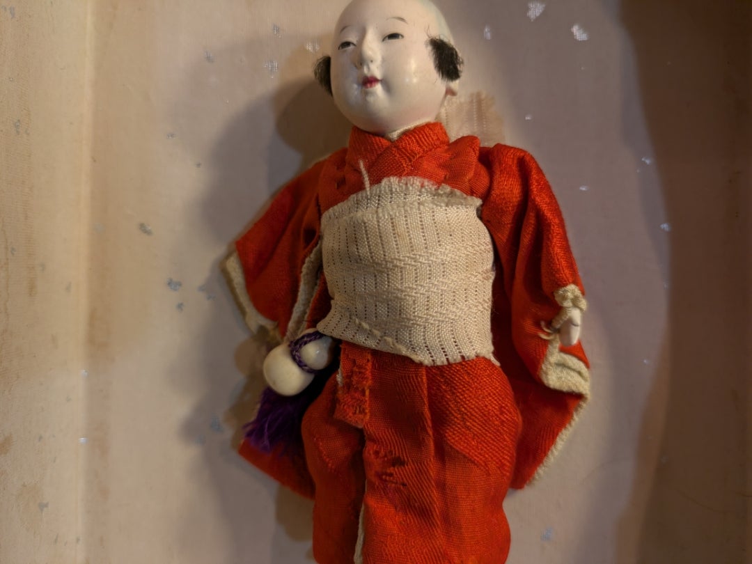 豆市松と「クスノキの番人」 | 古布と骨董・洛北からのつれづれ便り