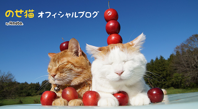 のせ猫オフィシャルブログ Powered by Ameba