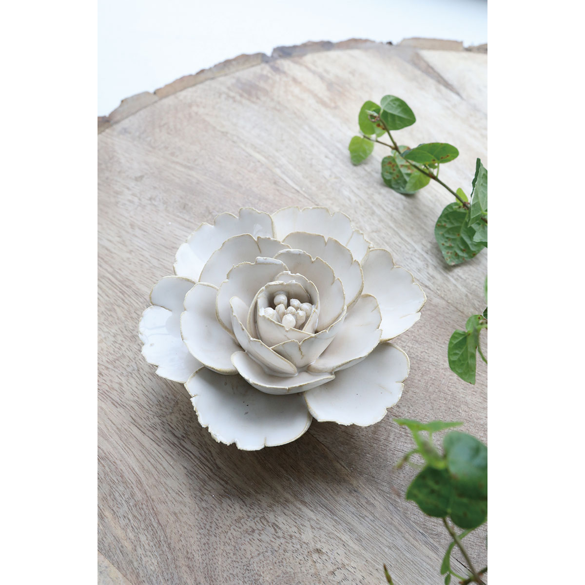 コベントガーデン/エクリュ・フラワーオブジェ/QA-18 - 花材通販はなど