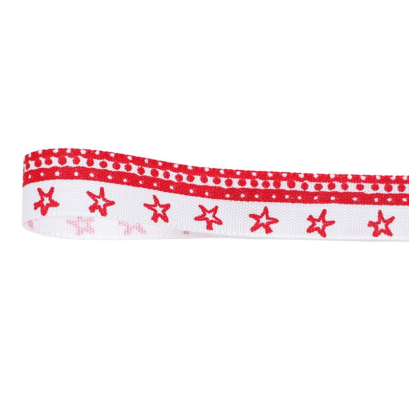 青山リボン/スタバイ15X10 #01/1511-1 - 花材通販はなどんやアソシエ