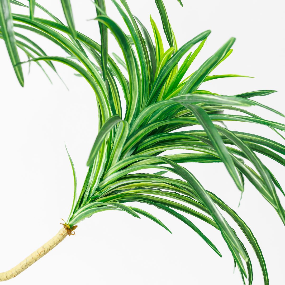 直送】【人工観葉植物】アスカ/ユッカツリー (ポット付) グリ-ン/A