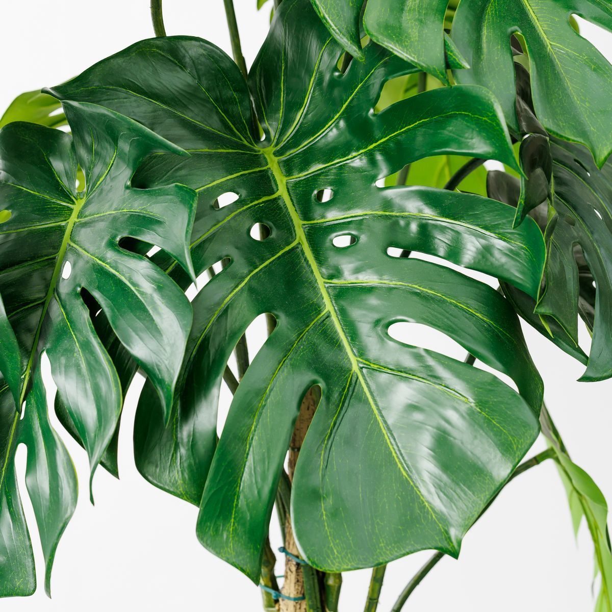 直送】【人工観葉植物】アスカ/モンステラポット グリ-ン/A-50813-051A