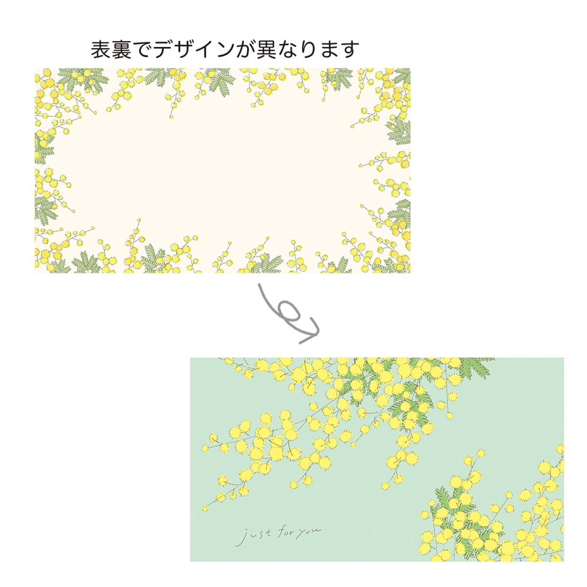 GREENHOUSE/ギフトメッセージカード 両面印刷 ミモザ1/5304 - 花材通販