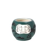 GREENHOUSE/NYだるま陶器 黒松/NY570 - 花材通販はなどんやアソシエ