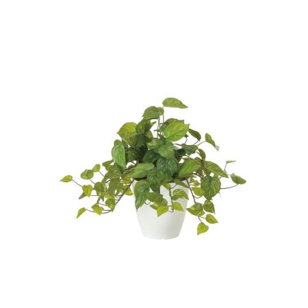 直送】 【人工観葉植物】光の楽園/光触媒 フレッシュポトス/2252A50