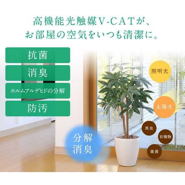 直送】 【人工観葉植物】光の楽園/光触媒 シェフレラ/212A80 ※返品・代