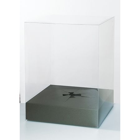 即日☆ニュークリアボックスXL セット/UK000190 - 花材通販はなどんや