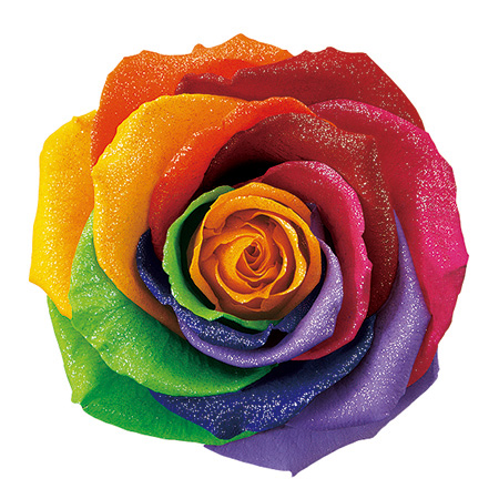 プリザーブド】アモローサ/ダイヤモンド-モダン85-エンボスブラック