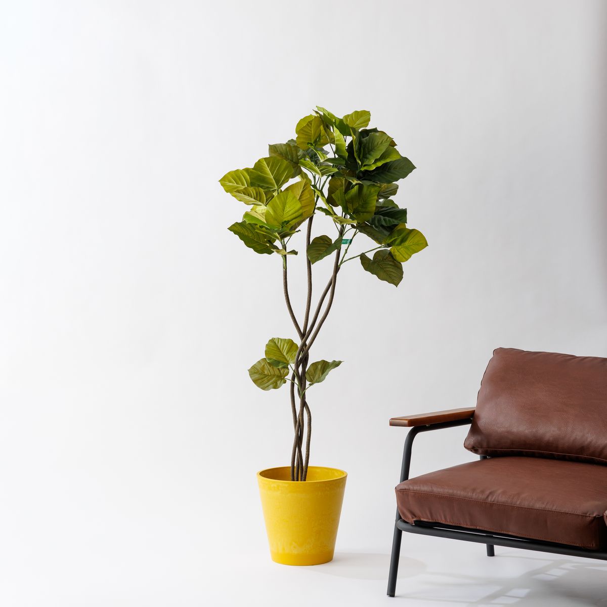 直送】【人工観葉植物】MAGIQ東京堂/ウンベラータ ツイスト グリーン