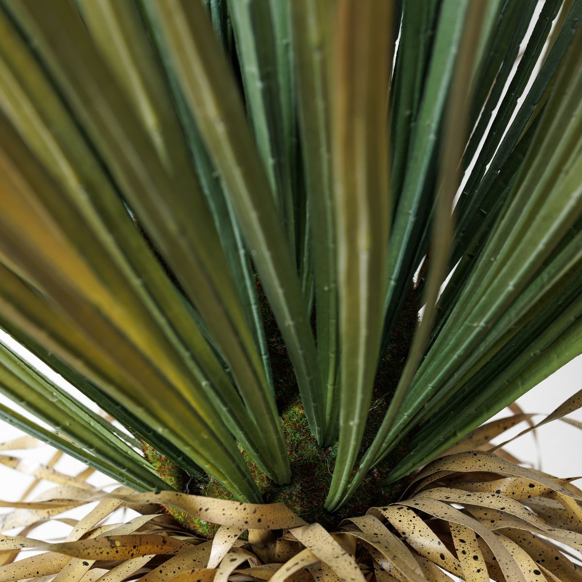 直送】【人工観葉植物】YDM/ユッカロストラータ/GLP-1523-GR ※返品