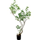 人工観葉植物】YDM/125cmフィカストライアンギュラス グリーン/GLP