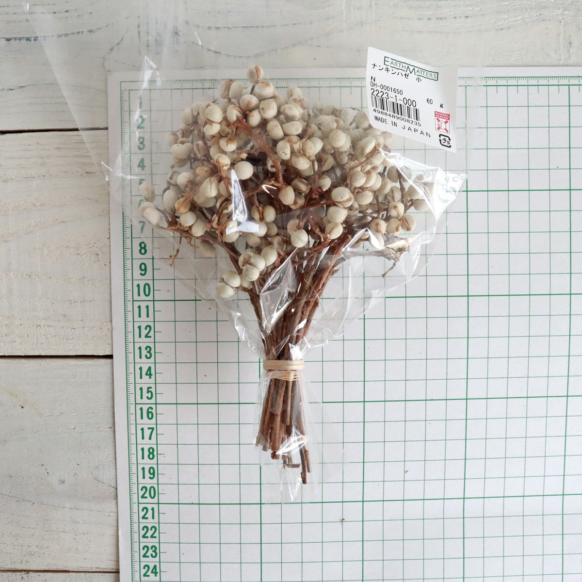 即日☆【ドライ】大地農園/ナンキンハゼ 小 60g N/22231-000 - 花材