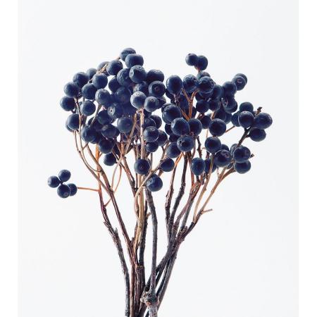 即日☆【ドライ】大地農園/シャリンバイ 約50g(約5〜8本) N/40160-000