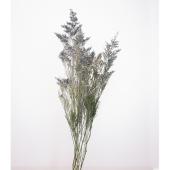 スターチスとスモークツリーのミニリース｜Fla-co（フラコ