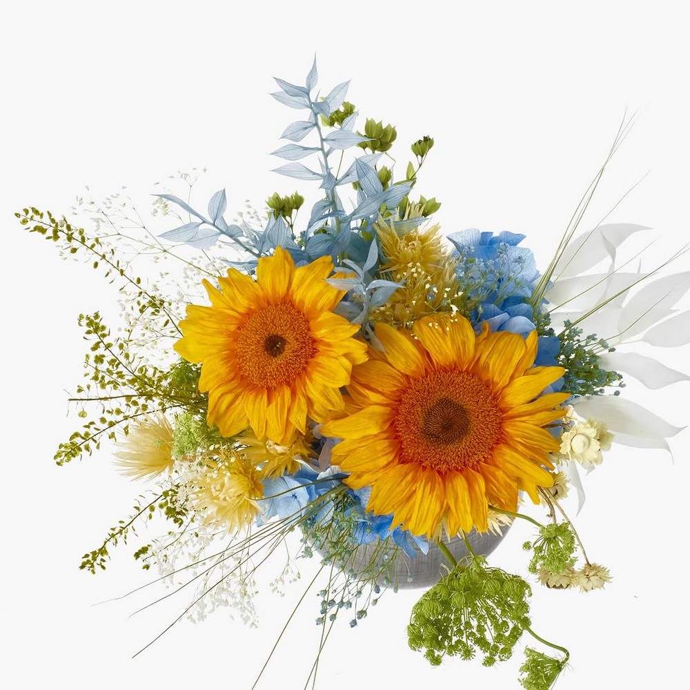 即日☆【プリザーブド】大地農園/ヒマワリ 2輪 イエロー/05430-500