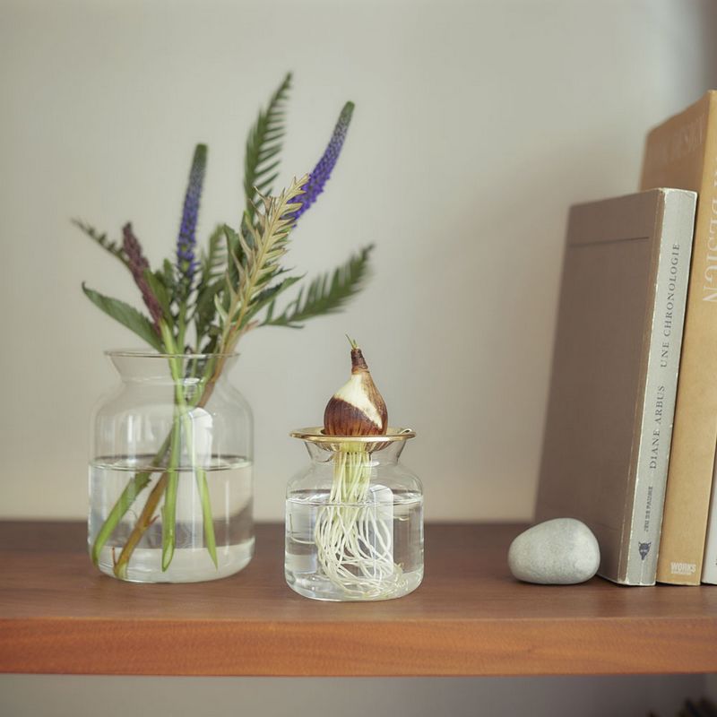 志成販売/リューズガラス フラワーベース ルリエフ(L)/372271 - 花材