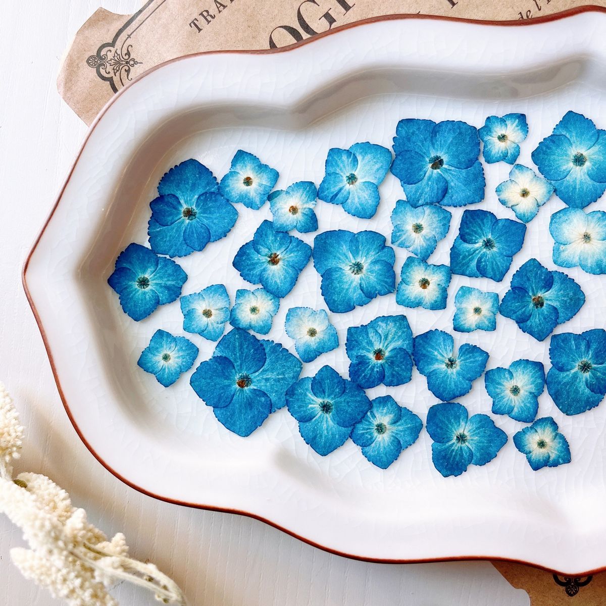 ドライ】m flowers/押し花 紫陽花 ミニブルー - 花材通販はなどんや