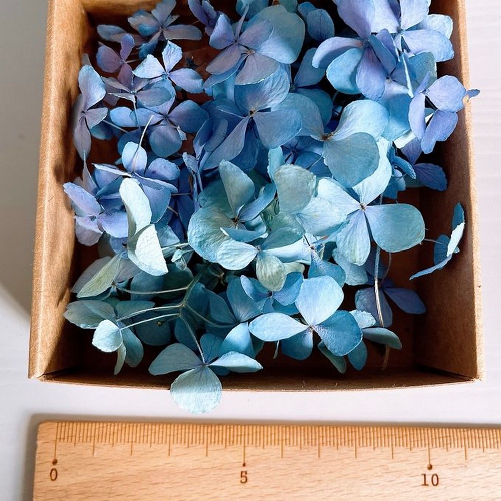 ドライ】m flowers/紫陽花 ブルー ドライ - 花材通販はなどんやアソシエ