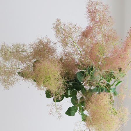 フレッシュ★30㌢超え　スモークツリー可愛いリース★ハイブリッドスターチス　癒し フレッシュ☆30㌢超えスモークツリー可愛いリース☆ハイブリッド