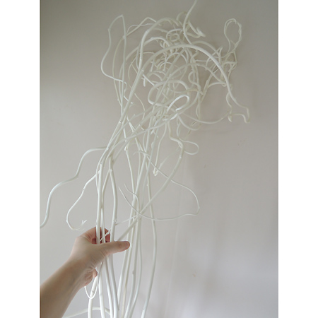 生花/即納】【ドライ】晒しキウイつる M(白)90センチ程度【L3-5】 - 花